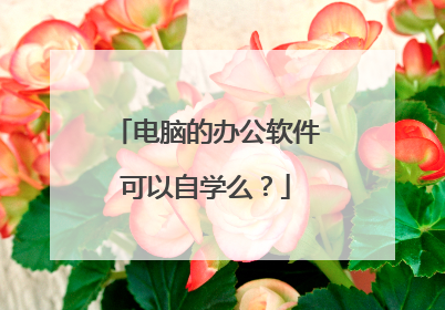 电脑的办公软件可以自学么?