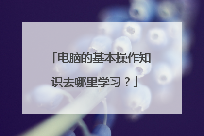 电脑的基本操作知识去哪里学习？