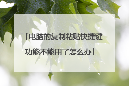 电脑的复制粘贴快捷键功能不能用了怎么办