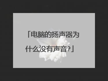 电脑的扬声器为什么没有声音?