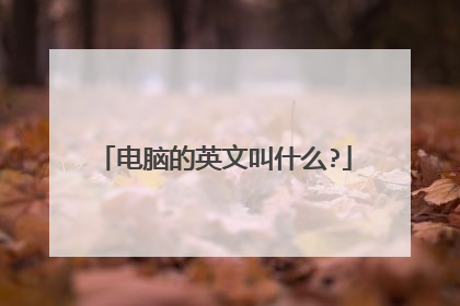 电脑的英文叫什么?