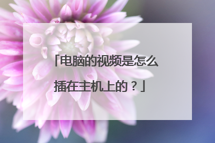 电脑的视频是怎么插在主机上的？