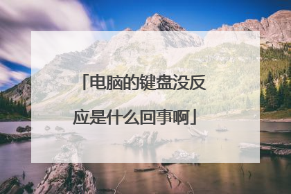 电脑的键盘没反应是什么回事啊