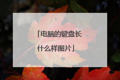 电脑的键盘长什么样图片