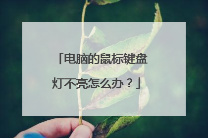 电脑的鼠标键盘灯不亮怎么办？