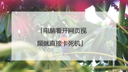 电脑看开网页视频就直接卡死机
