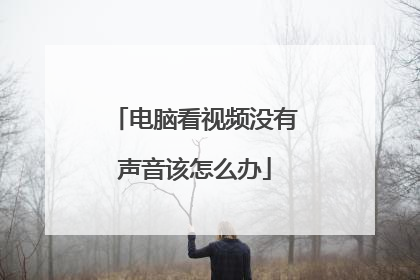 电脑看视频没有声音该怎么办