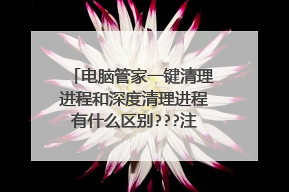 电脑管家一键清理进程和深度清理进程有什么区别???注意不是清理...