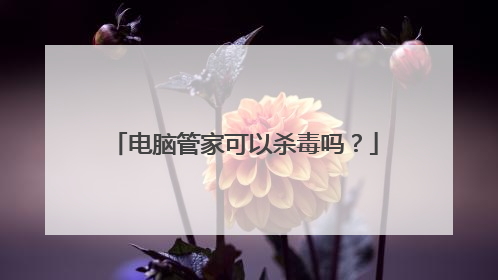 电脑管家可以杀毒吗?