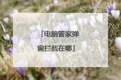 电脑管家弹窗拦截在哪