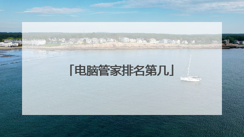 电脑管家排名第几