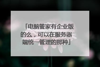 电脑管家有企业版的么,可以在服务器端统一管理的那种