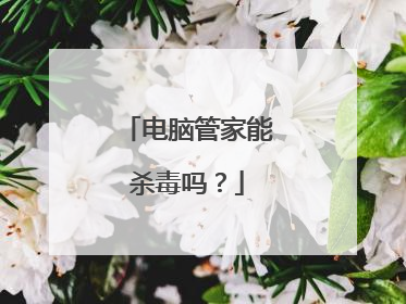 电脑管家能杀毒吗?