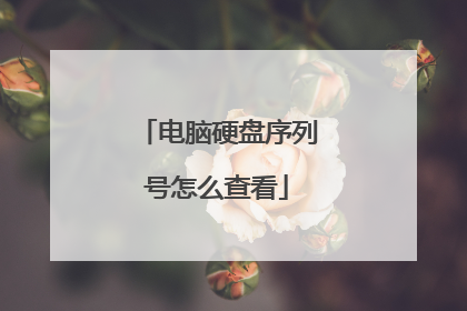 电脑硬盘序列号怎么查看