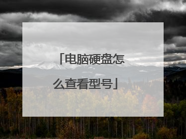电脑硬盘怎么查看型号