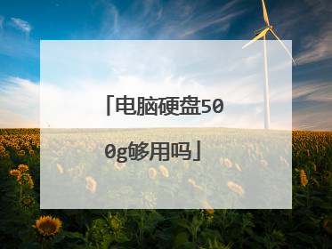电脑硬盘500g够用吗