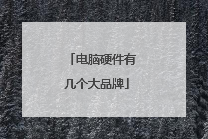 电脑硬件有几个大品牌
