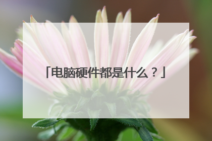 电脑硬件都是什么?