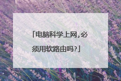 电脑科学上网,必须用软路由吗?