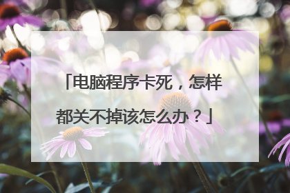 电脑程序卡死，怎样都关不掉该怎么办？