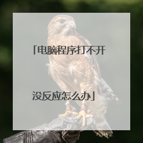 电脑程序打不开没反应怎么办