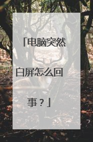 电脑突然白屏怎么回事?