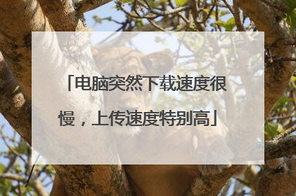电脑突然下载速度很慢,上传速度特别高