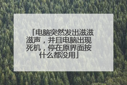 电脑突然发出滋滋滋声,并且电脑出现死机,停在原界面按什么都没用