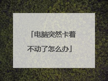 电脑突然卡着不动了怎么办