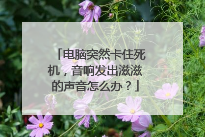 电脑突然卡住死机，音响发出滋滋的声音怎么办？