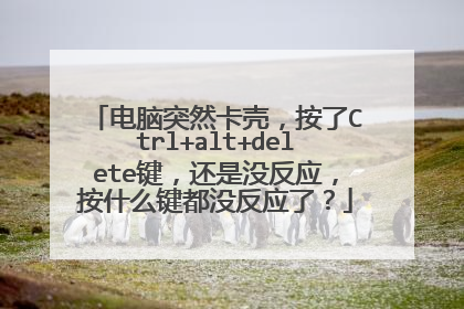 电脑突然卡壳,按了Ctrl+alt+delete键,还是没反应,按什么键都没反应了?