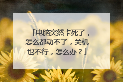 电脑突然卡死了，怎么都动不了，关机也不行，怎么办？