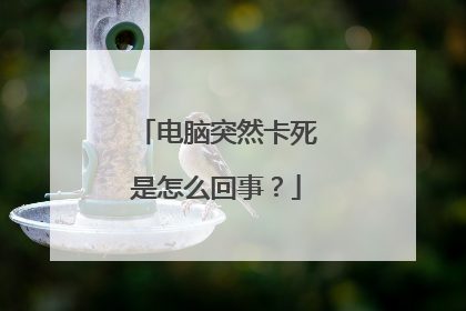 电脑突然卡死是怎么回事?