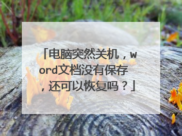 电脑突然关机,word文档没有保存,还可以恢复吗?