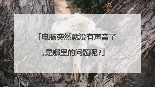 电脑突然就没有声音了,是哪里的问题呢?