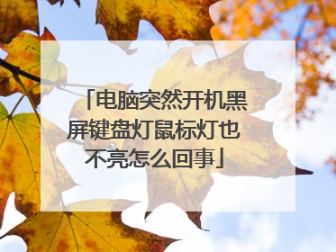 电脑突然开机黑屏键盘灯鼠标灯也不亮怎么回事