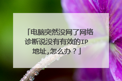 电脑突然没网了网络诊断说没有有效的IP地址,怎么办？