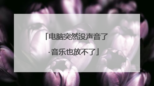 电脑突然没声音了·音乐也放不了