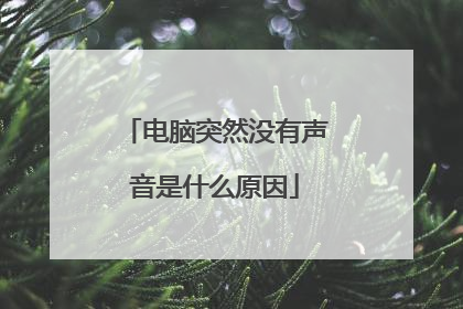 电脑突然没有声音是什么原因