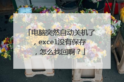 电脑突然自动关机了,excel没有保存,怎么找回啊?