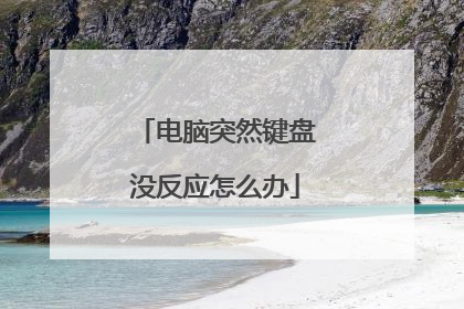 电脑突然键盘没反应怎么办