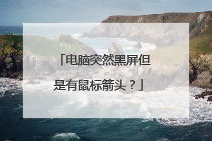 电脑突然黑屏但是有鼠标箭头?