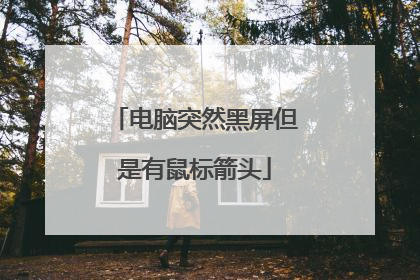 电脑突然黑屏但是有鼠标箭头