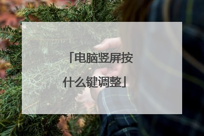 电脑竖屏按什么键调整