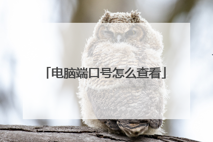 电脑端口号怎么查看