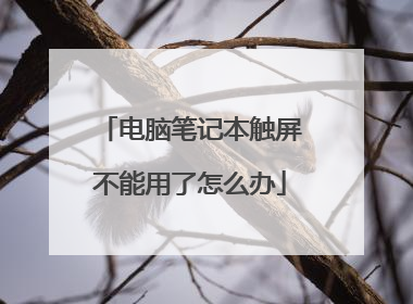 电脑笔记本触屏不能用了怎么办