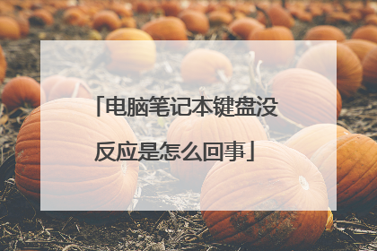电脑笔记本键盘没反应是怎么回事