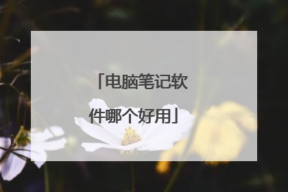 电脑笔记软件哪个好用