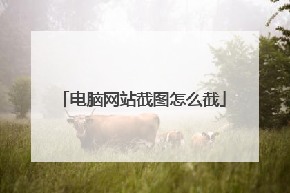 电脑网站截图怎么截
