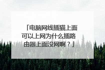 电脑网线插猫上面可以上网为什么插路由器上面没网啊？